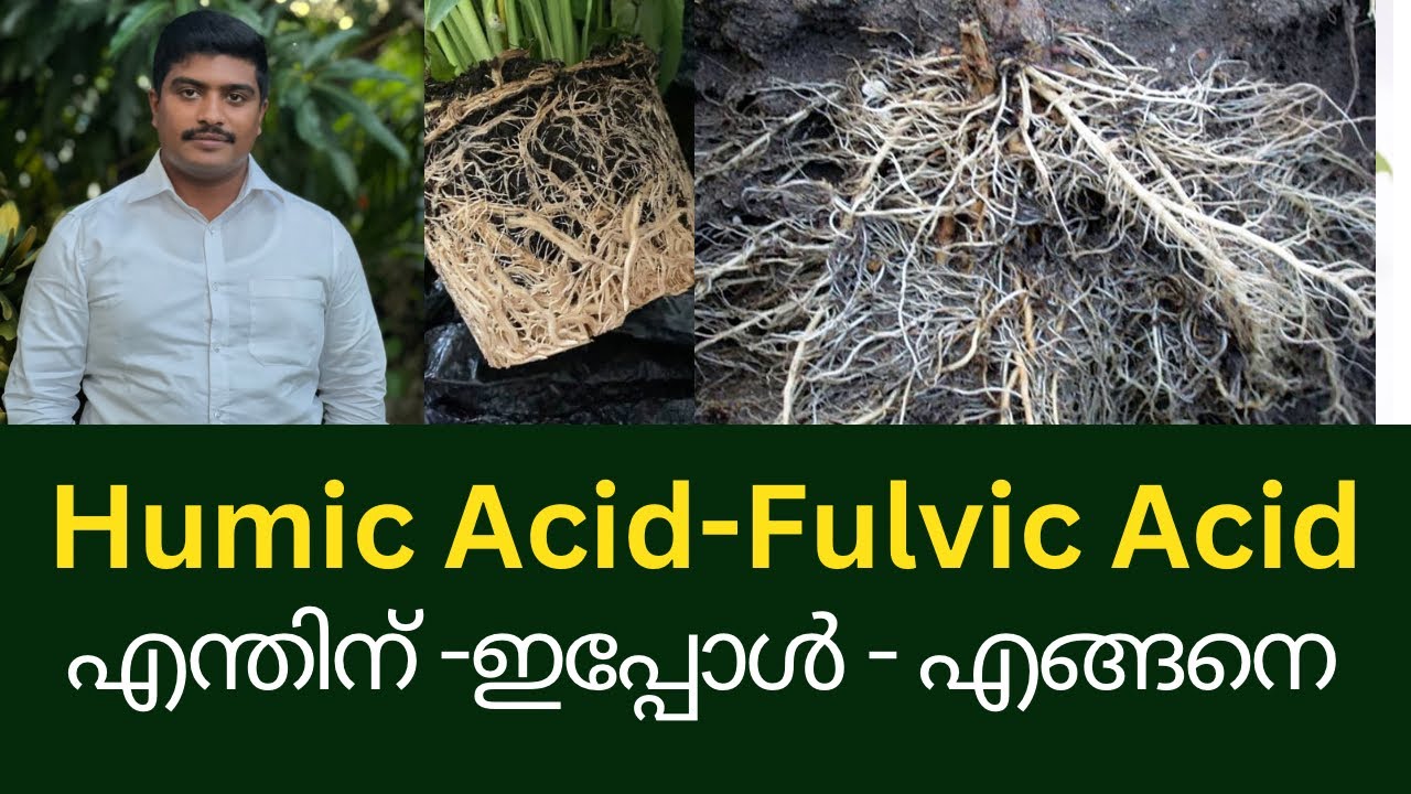 Humic Acid & Fulvic Acid Uses, Benefits- How The Increase Productivity 