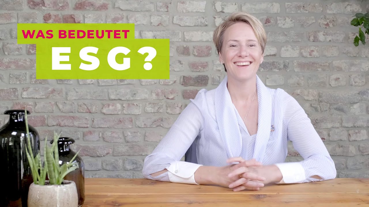 Was heißt ESG?