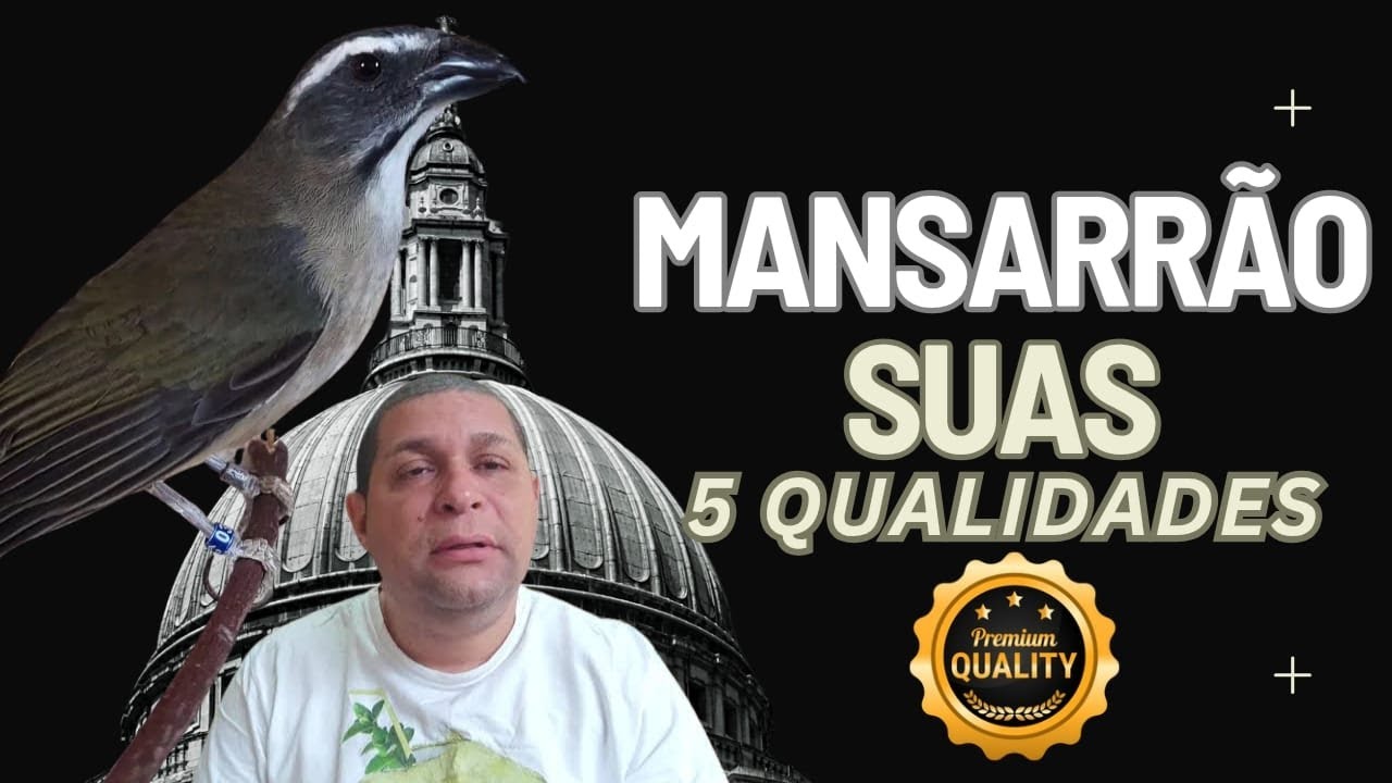 ENTENDA PORQUE ELES NÃO QUEREM QUE VOCÊ CRIE O MANSARRÃO VEJA AS QUALIDADES