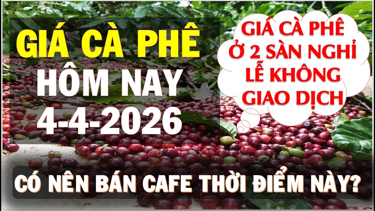 Gi&aacute; c&agrave; ph&ecirc; h&ocirc;m nay ng&agrave;y 4/4/2026|Hai s&agrave;n nghỉ lễ gi&aacute; c&agrave; ph&ecirc; ổn định ở c&aacute;c địa phương