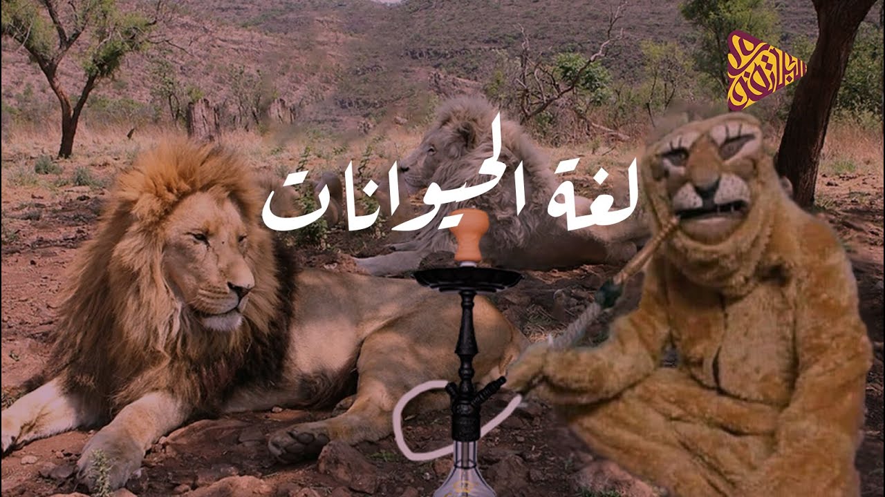 البلاتفورم | لغة الحيوانات | تفتكر الحيوانات بتتكلم مع بعضها؟