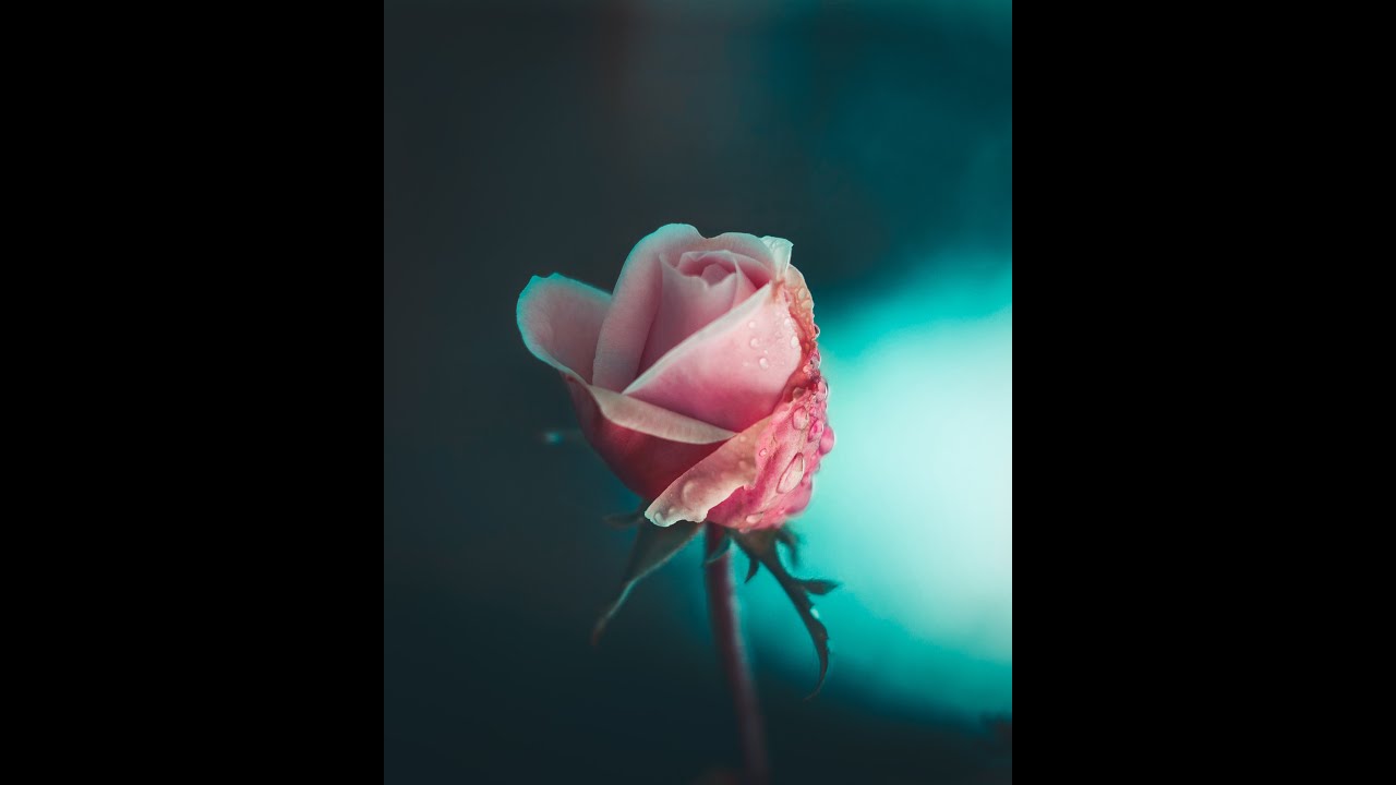 DAILY LOVE ENERGY* 1/26-1/27* FIRE* AIR 2:23* EARTH 4:06* WATER 6:58*