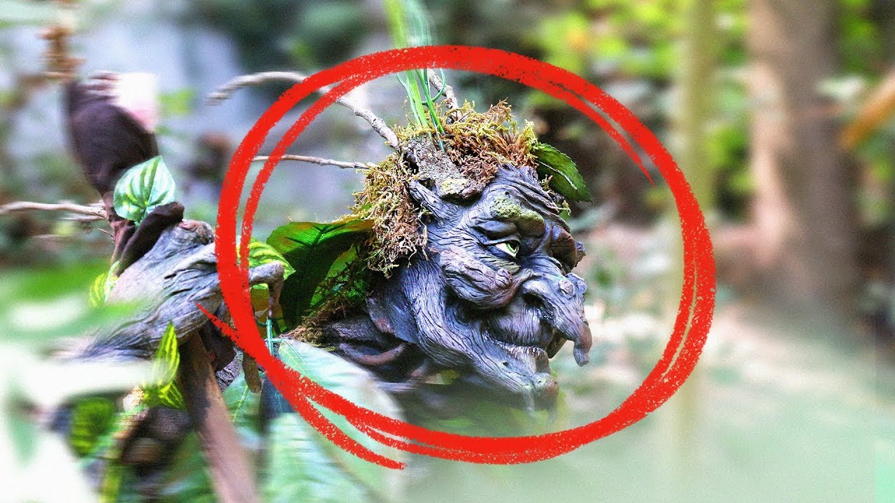 Hallan al Espíritu Invisible de la Naturaleza | Caso 100% Real | Expediente Elemental