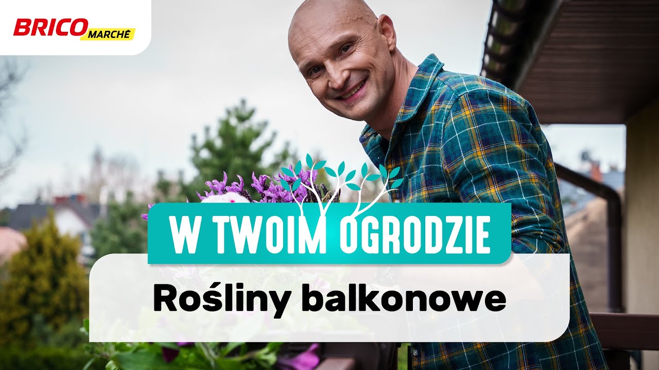 Rośliny na balkon i taras [W Twoim ogrodzie]