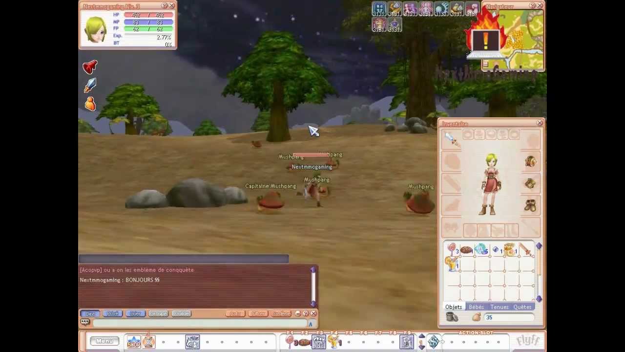 Test De Flyff Officiel