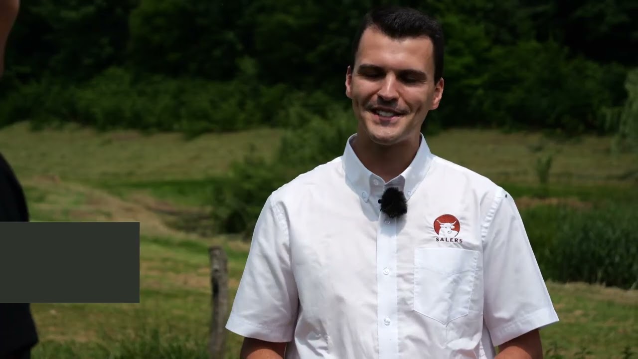Les visites d'élevage : Salers