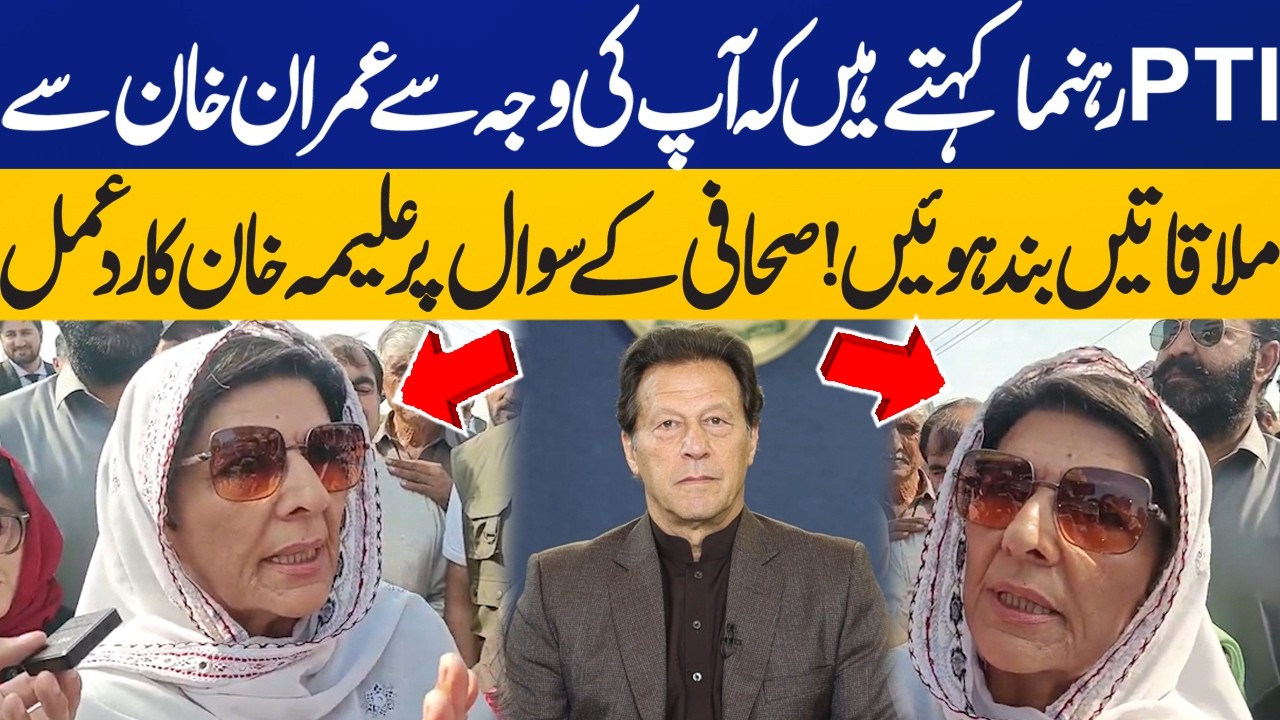 PTI Leaders Say Meetings with Imran Khan Stopped Because of You | Aleema Khan Responds to Journalist