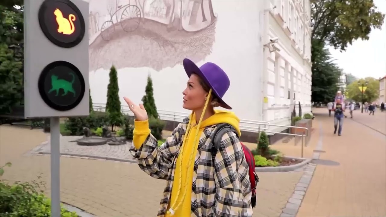 Зеленоградск: Город, где правят коты!