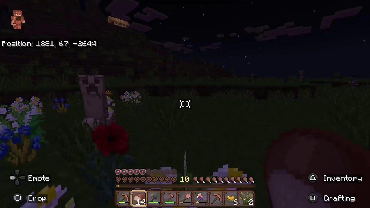 Accompany Me In Minecraft