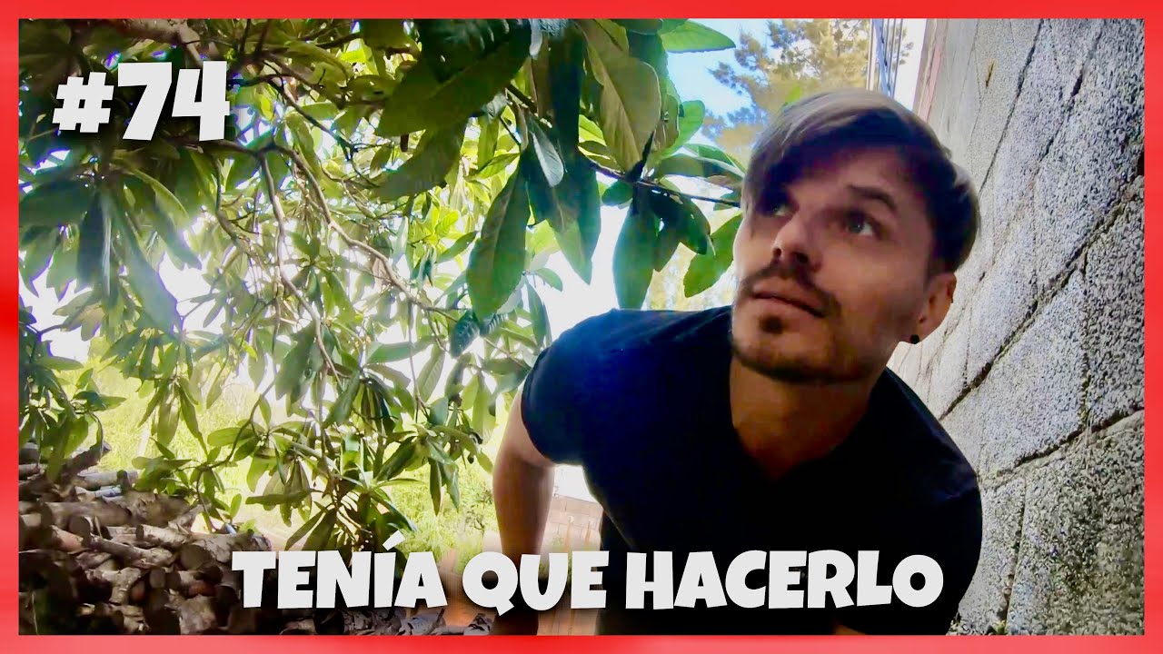 PODA del NÍSPERO y tratamiento LIMONERO #74 | Creando un huerto desde 0