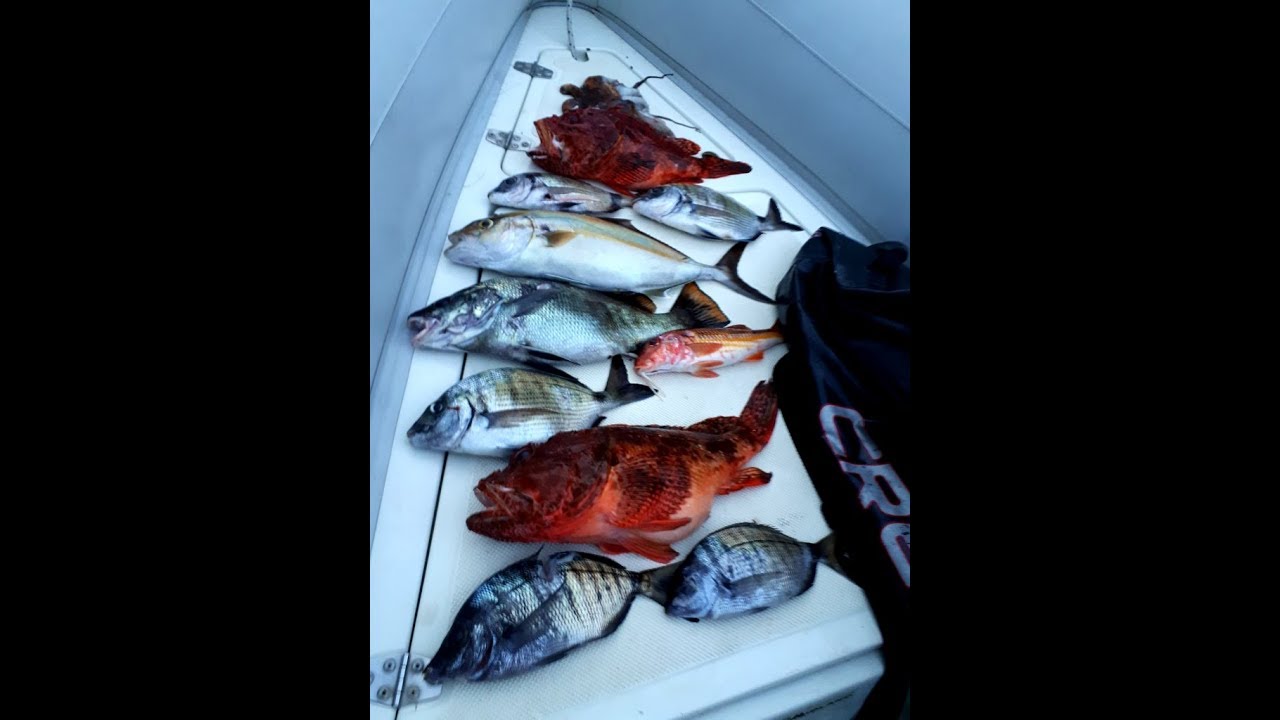 Pesca Sub: IL MARE D'INVERNO