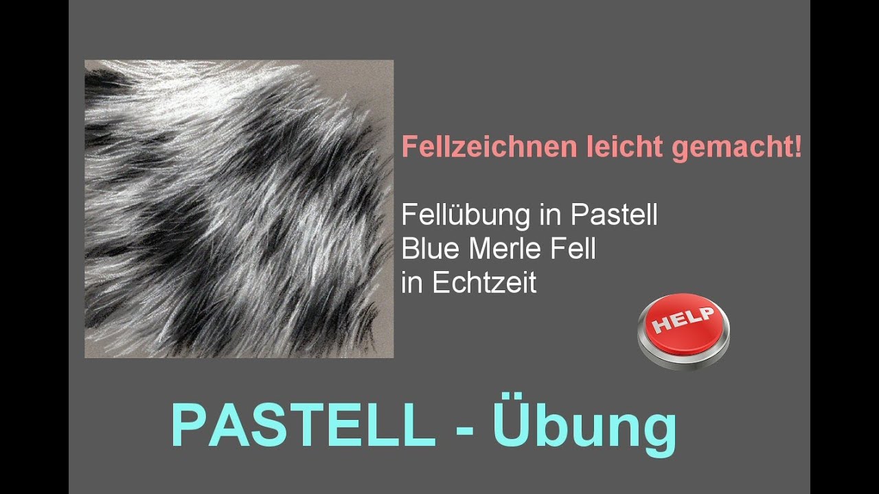 Freies PASTELL Tutorial - Wie male ich blue merle FELL- Echtzeit