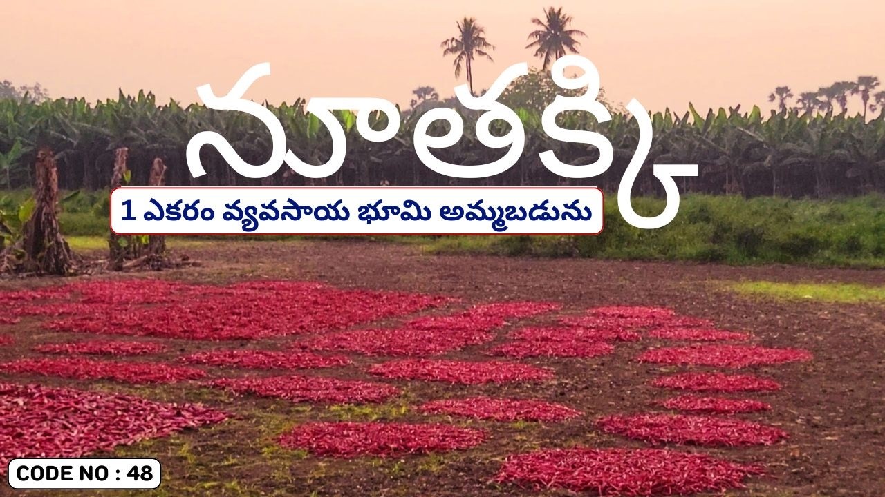 Agriculture Land For Sale In నూతక్కి | Agriculture Land For Sale In Nutakki | Farm Land For Sale