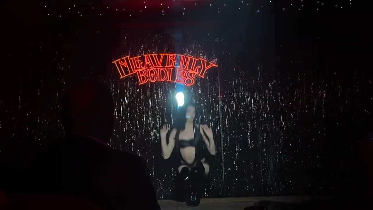 Flesh - American Apparel Ad Girls @ Heavenly Bodies 30/11/25