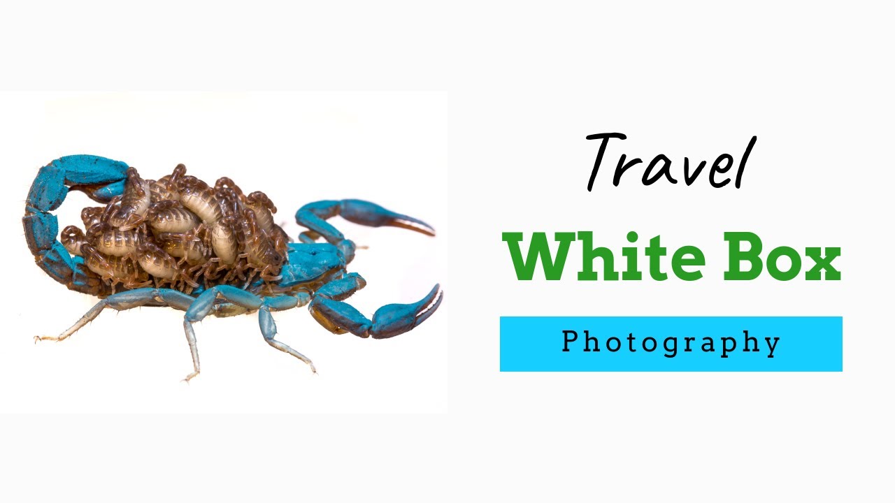 Travel White Box for Photography | light weight and compact