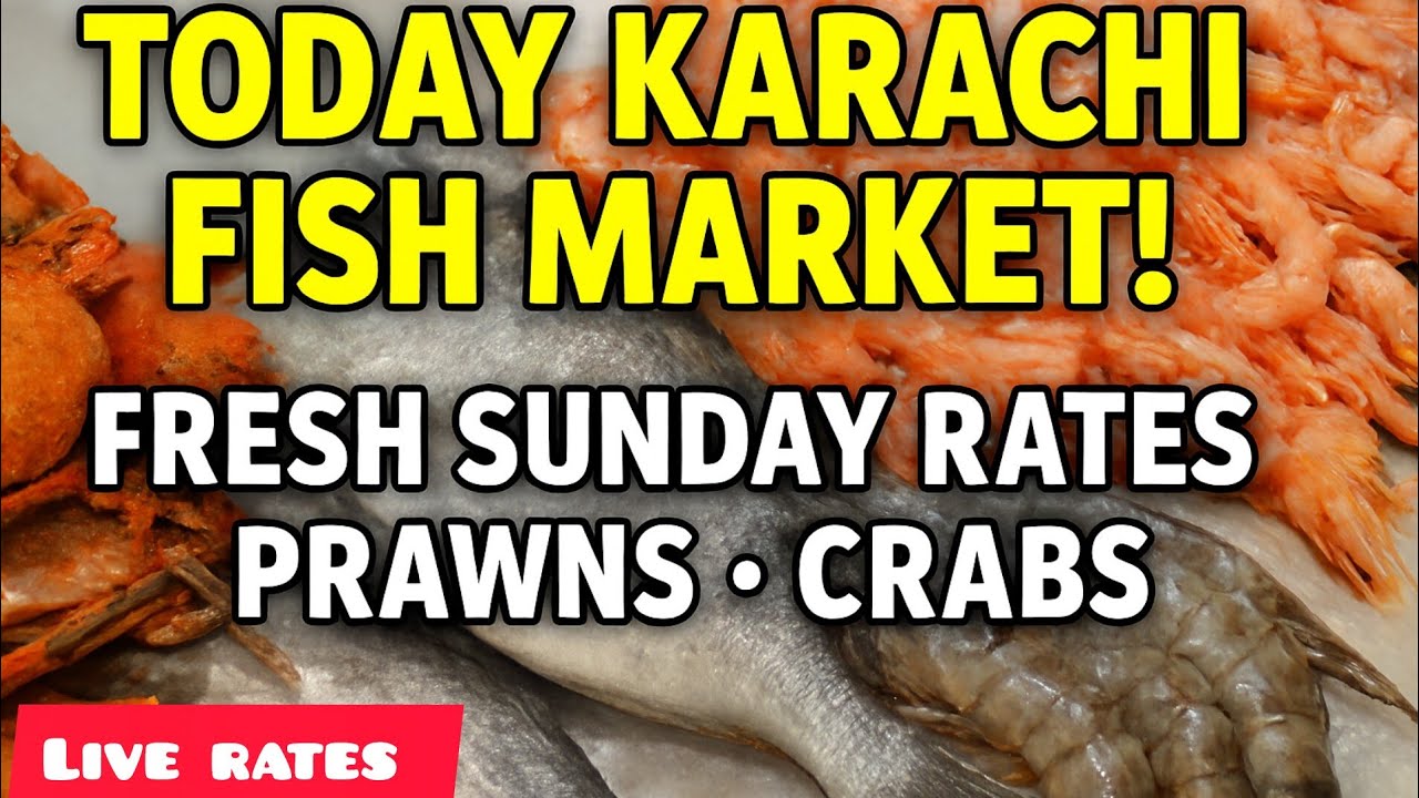 Today Karachi Fish Market Update | Sunday Seafood Rates | Fresh Fish & Prawns Price