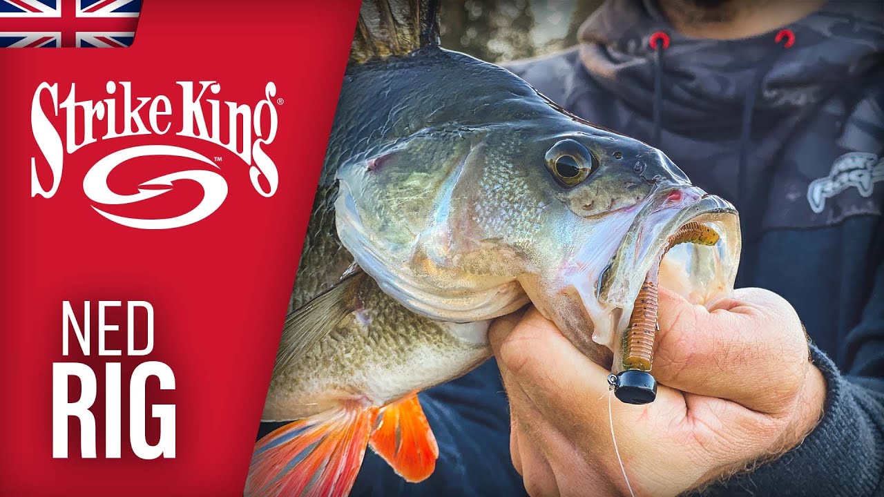 STRIKE KING TOUR GRADE NED RIG HEAD