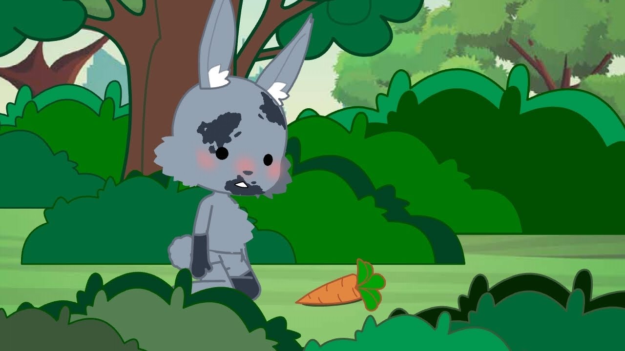🐰🐰🐰