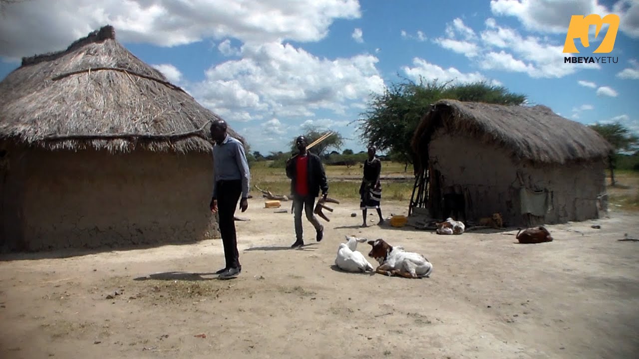 Migogoro ya Ardhi mtihani kwa Mbunge mteule Mbarali