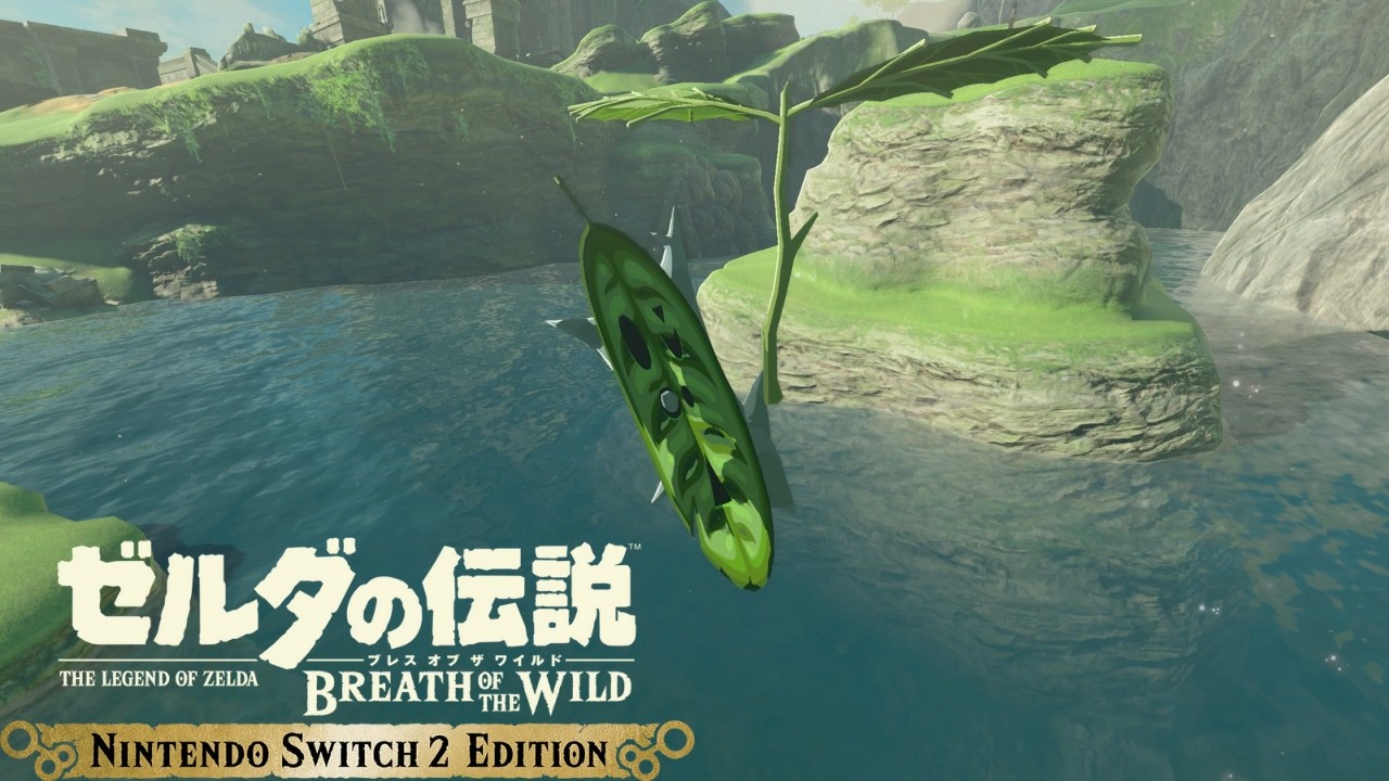 (自称)妖精との遭遇【ゼルダの伝説 ブレス オブ ザ ワイルド】#2