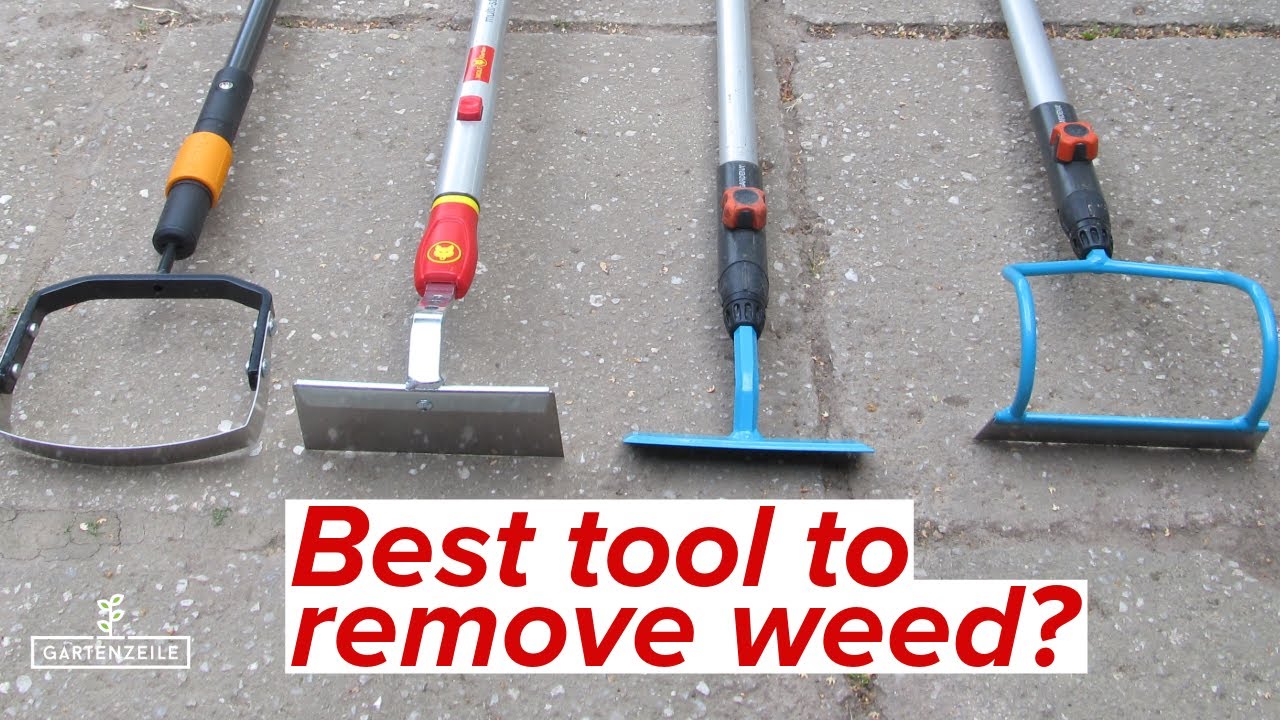 Weed removal in flower beds and on pathways - Which hoe is particularly suitable?