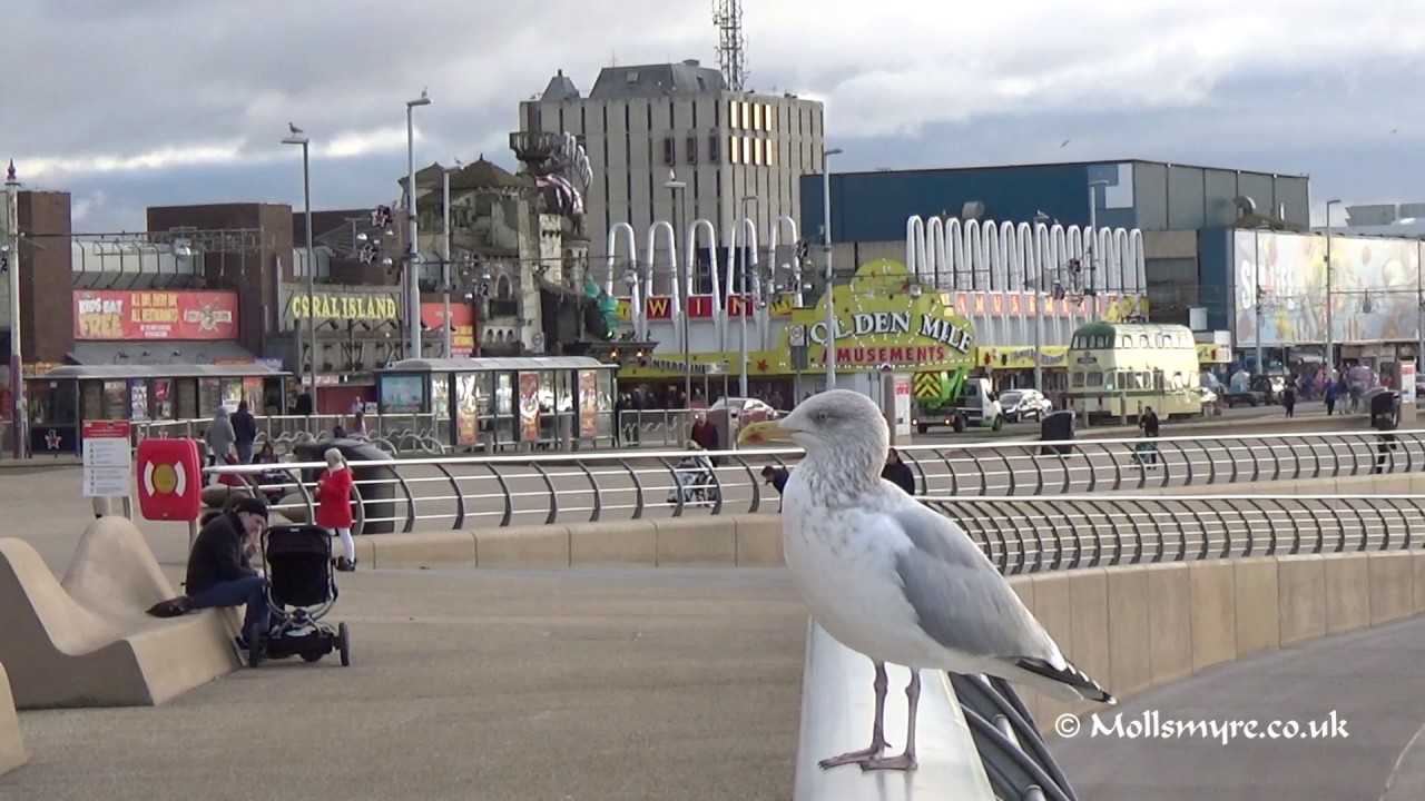 Blackpool Heritage Tram Tours 27 November 2016