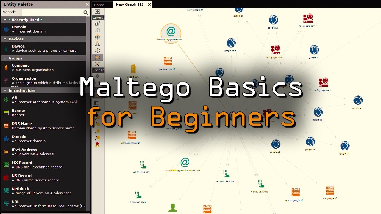 Maltego Passive Reconnaissance Training for Absolute Beginners