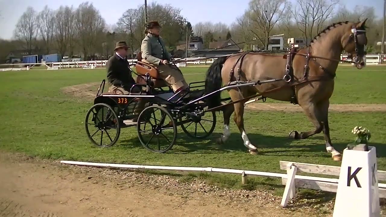 dressage bornem 2026