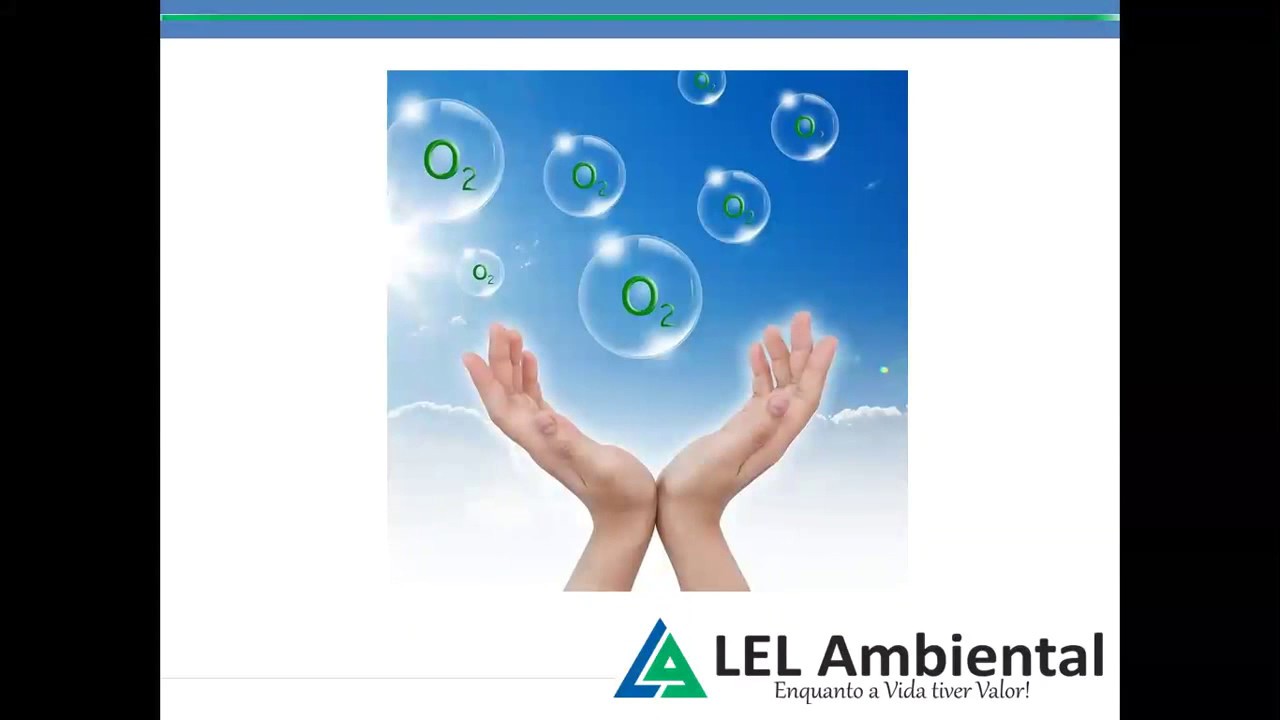 Webinar LEL Ambiental - Detecção de Gases:Práticas e Teorias