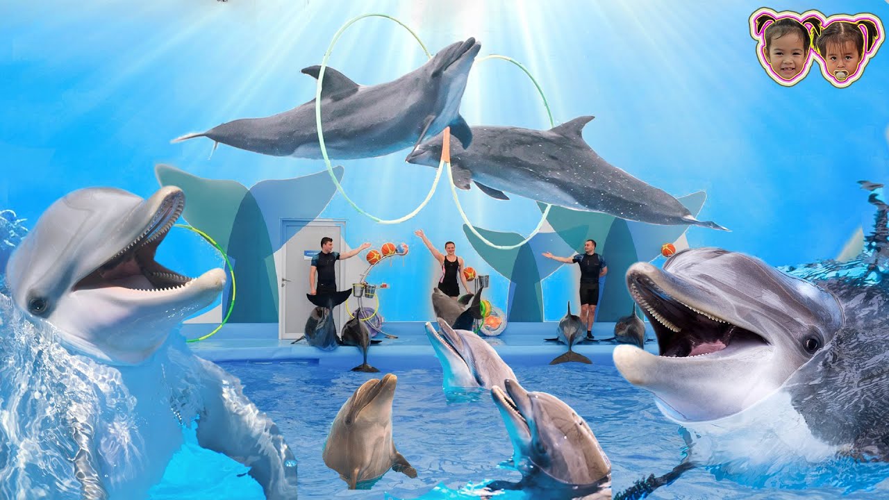 ปลาโลมาโชว์พัทยา ดอลฟินนาเรียม, โลมาโชว์พัทยา, Pattaya Dolphinarium (ข้าวหอม ข้าวตัง ตัวกลม)
