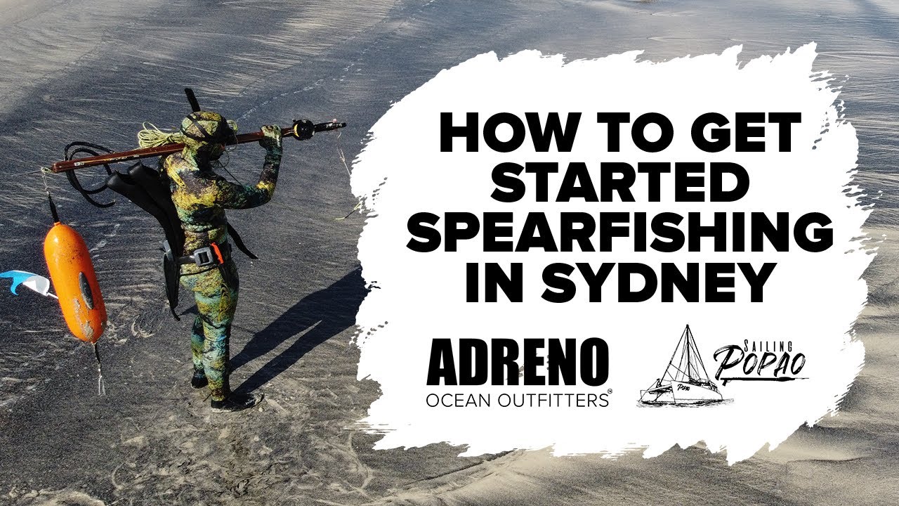 How To Start Spearfishing in Sydney