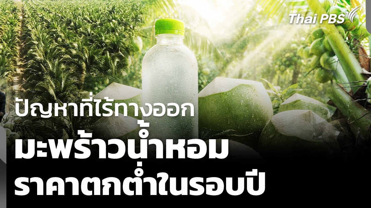 วิกฤตราคามะพร้าวน้ำหอม ความท้าทายที่ยังไร้ทางออก | ข่าวค่ำ | 17 ก.พ. 69