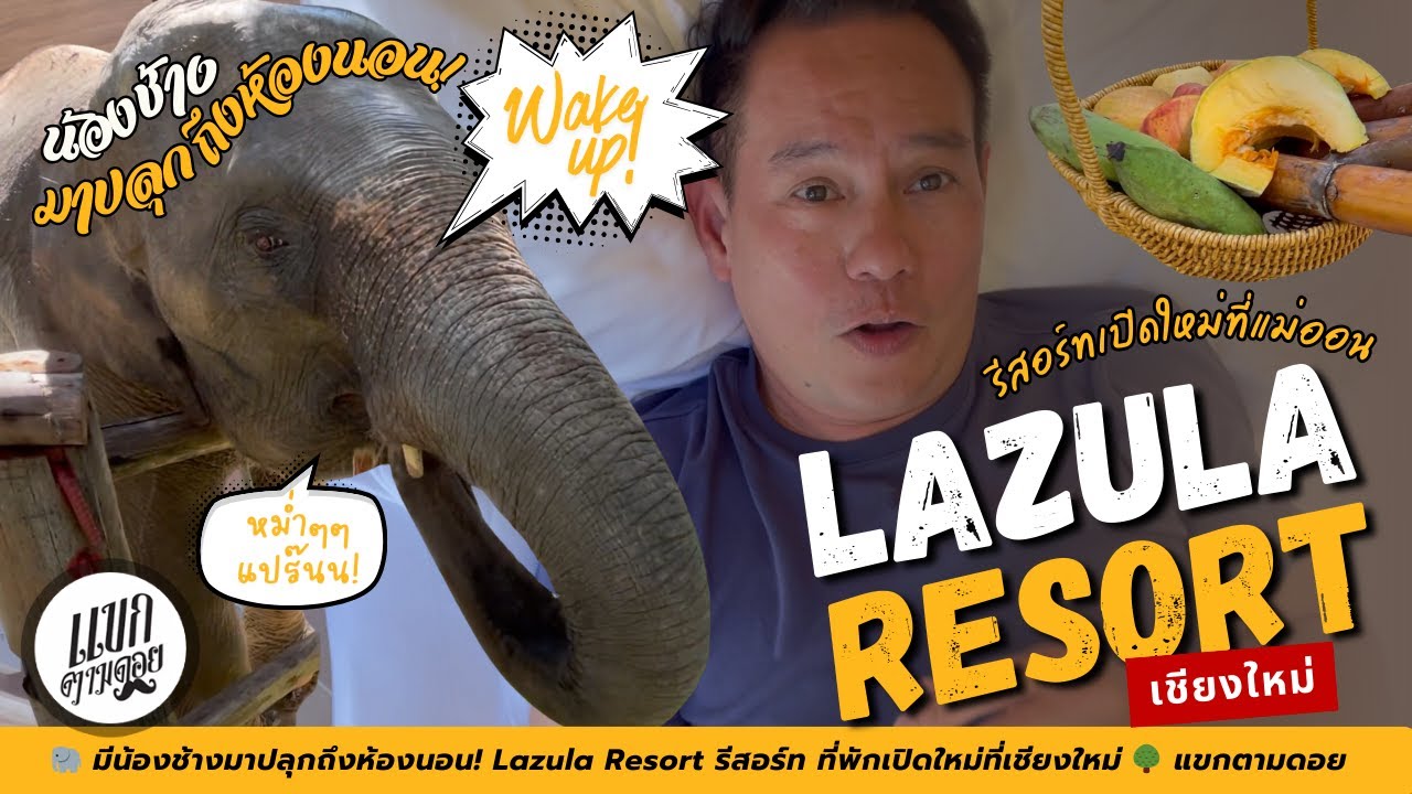 🐘 มีน้องช้างมาปลุกถึงห้องนอน! Lazula Resort รีสอร์ท ที่พักเปิดใหม่ที่เชียงใหม่ 🌳 แขกตามดอย