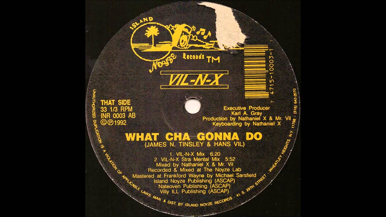 Vil-N-X - What Cha Gonna Do (Vil-N-X Mix)