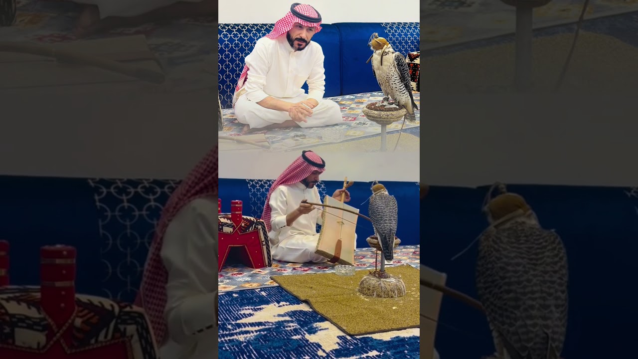 ربابة جدوع الاحمد بمجلس الشيخ بندر فرحان ابوزهرة #عنزة #الخمشة#الويلان