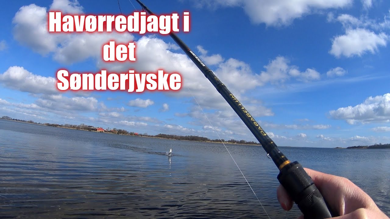 Havørredjagt i det Sønderjyske