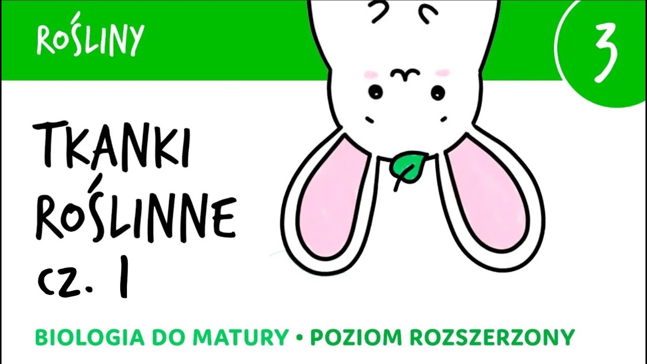 Rośliny 3 🌳 Tkanki roślinne cz.1 + BONUS notatka do pobrania! biologia do matury liceum