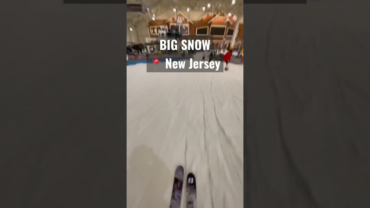 Season never ends #freestyleskiing #skiing #ski #railskiing #indoorskiing #americandreammall