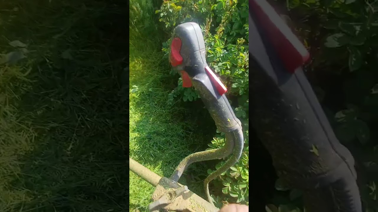 OLEOMAC 755 Yabani ot Canavarı Olemaç 755 Motorlu Tırpan