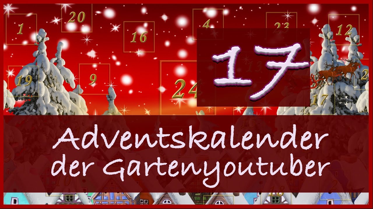 Adventskalender – der Garten YouTuber - 2025 - Severins Glashaus