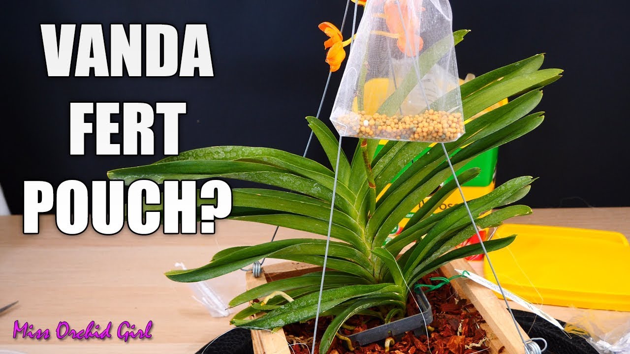 Join me on a Vanda Orchid day! - basketting & making a fertilizer pouch!