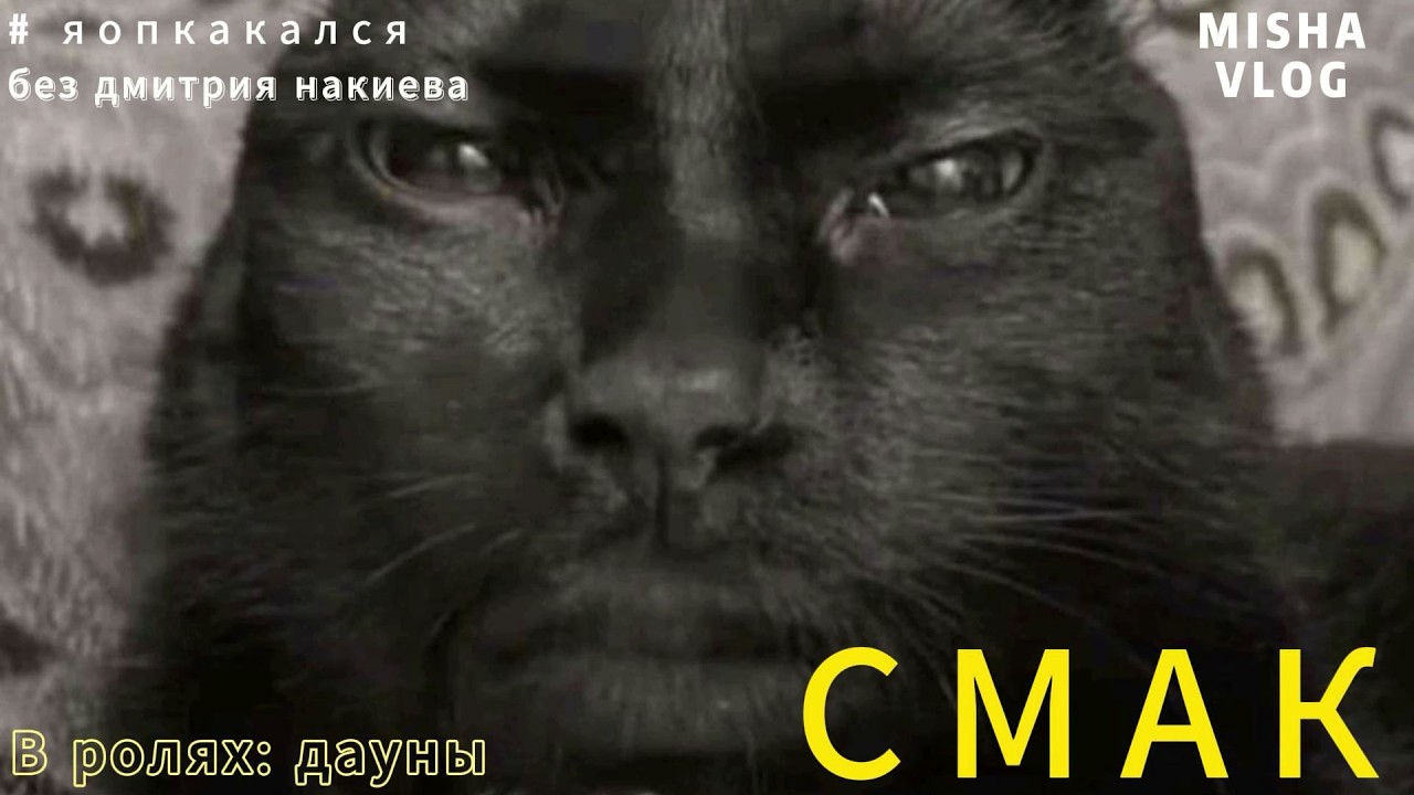 Смак в REPO