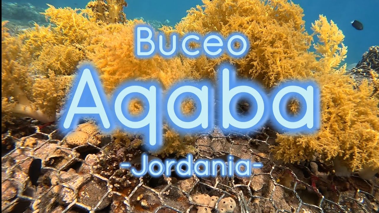 Àqaba--Buceo Mar Rojo jordano con Red Coral Diver Center #aqaba #redcoraldivecenter #cedarpride