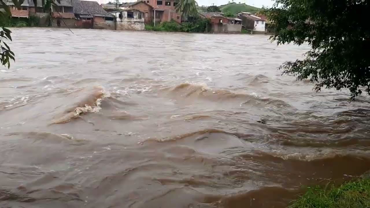 Urgente! Rio Paraiba prestes a transbordar em viçosa Alagoas