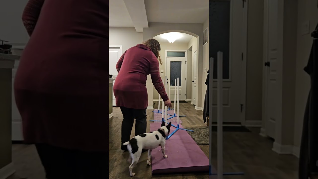 Channel weaves session 2 - Freya