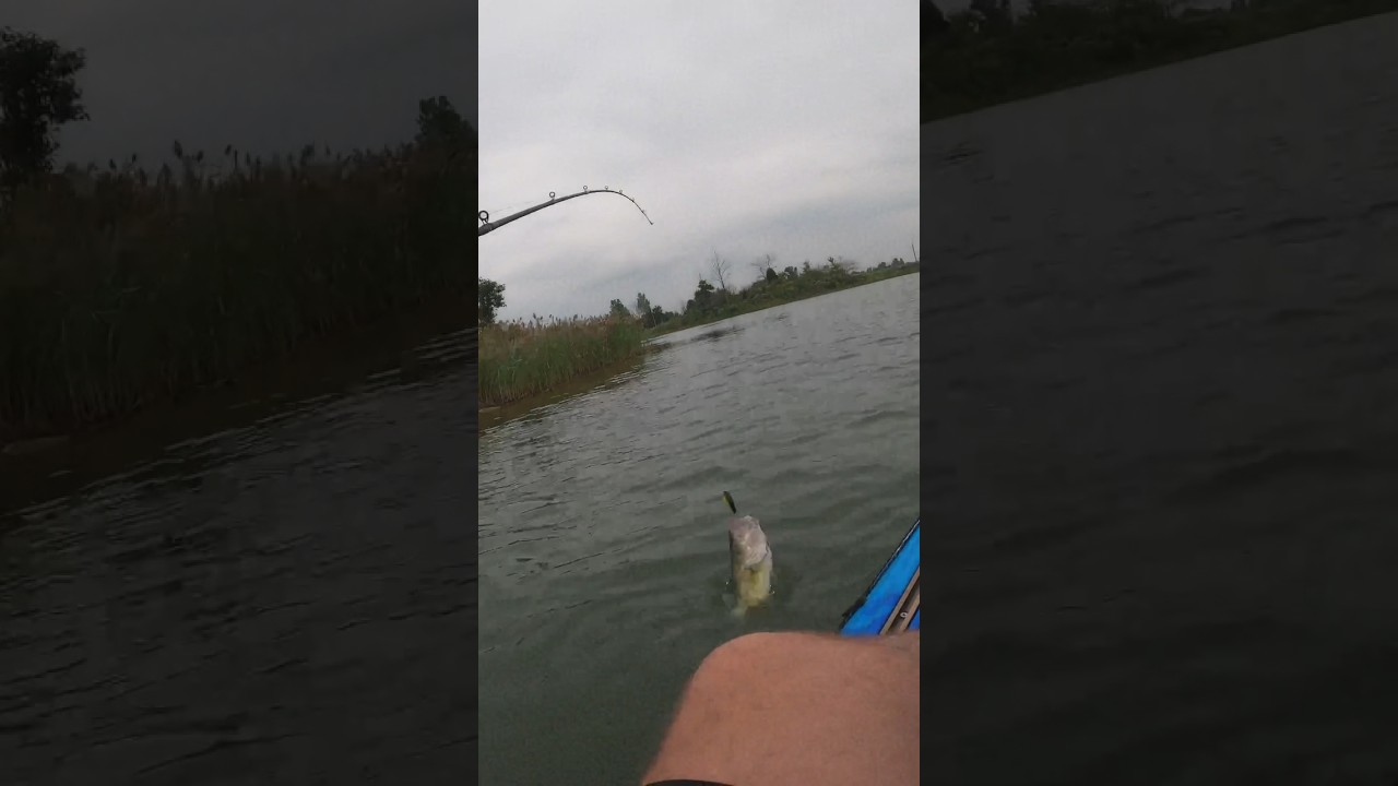 Good bass eats the crankbait! 