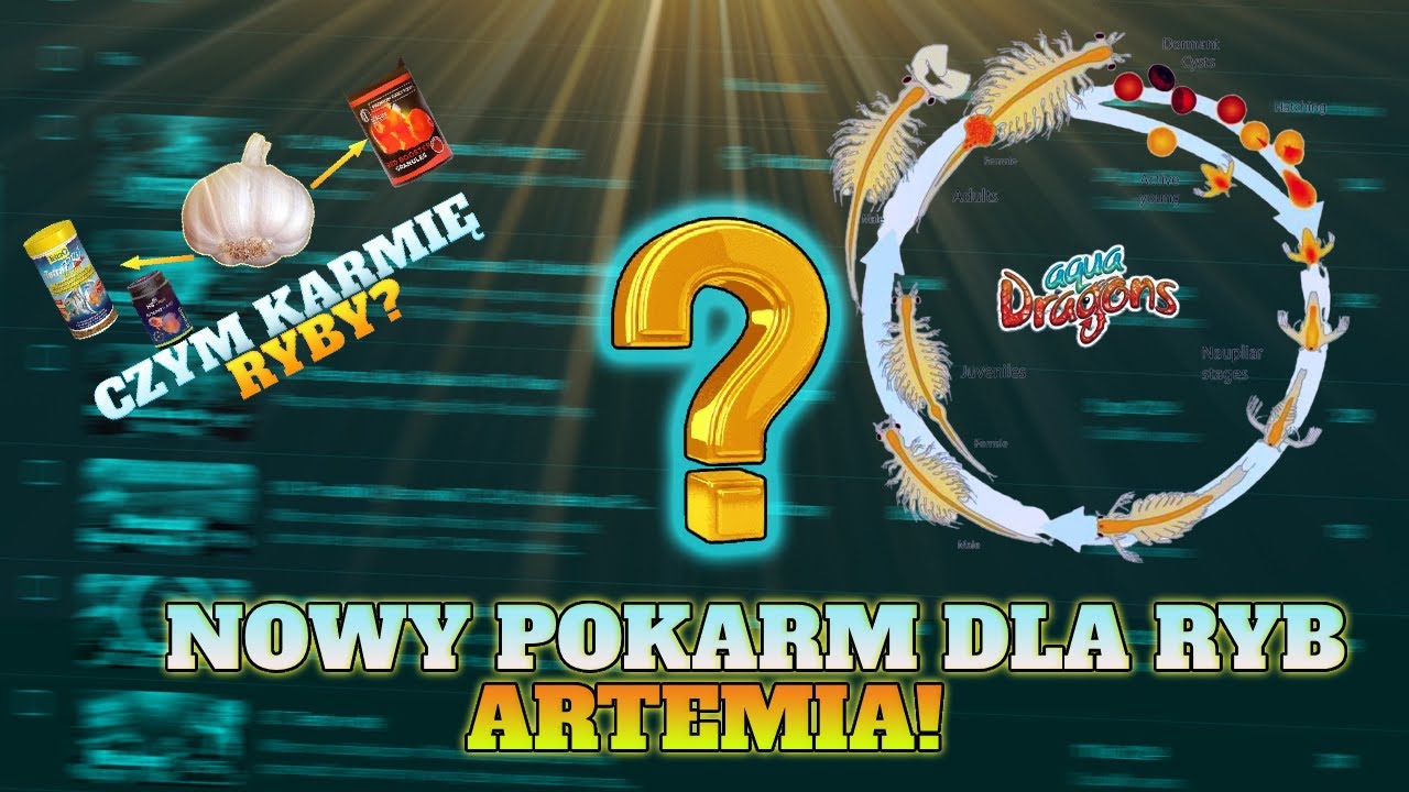 16. Nowy Pokarm Dla Ryb