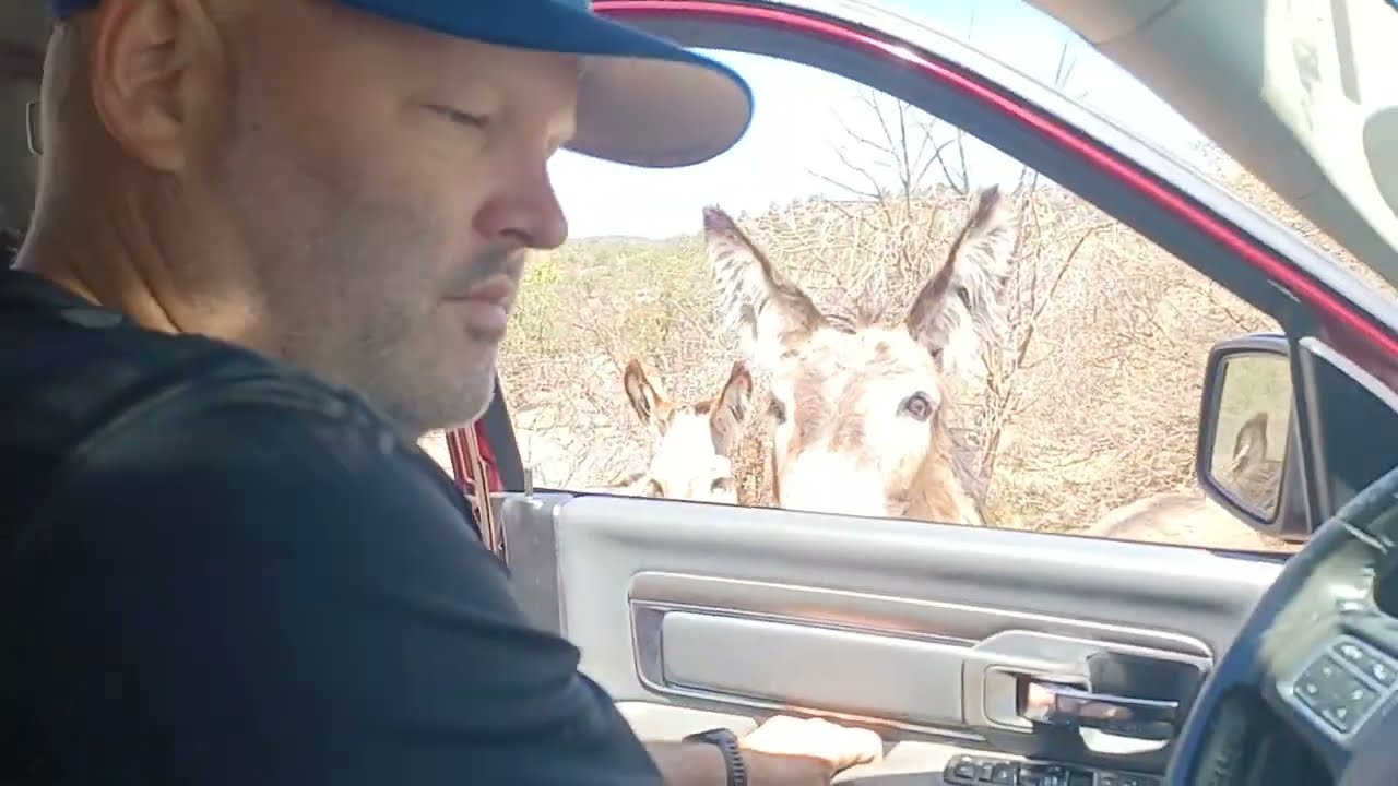 DAVIS MOUNTAIN RESORT PART 1 #Fortdavistexas #Dmr #Davismountains #Westtexas