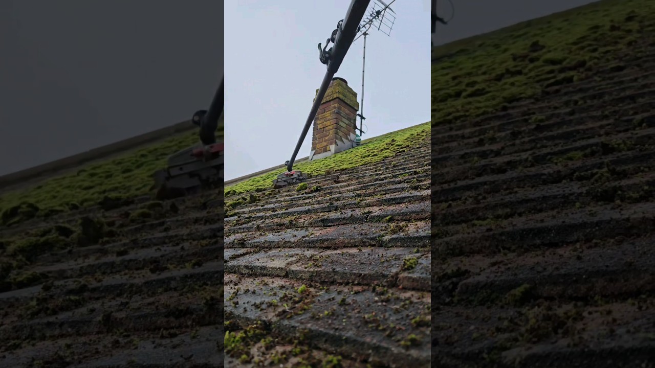 Roof moss removal in Broadstairs, Kent.   #roofmossremoval #exteriorcleaning #roofcleaning #thanet