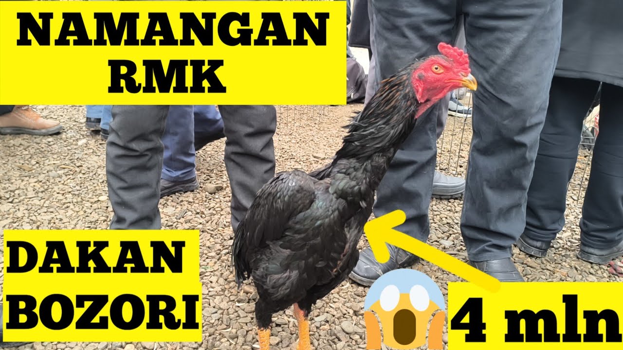 DAKAN BOZORI NAMANGAN RMK 18.01.2026